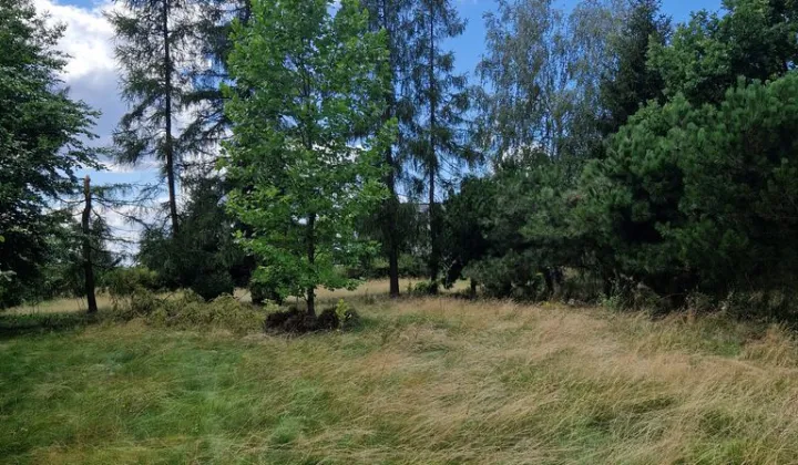 Działka inwestycyjna Natolin
