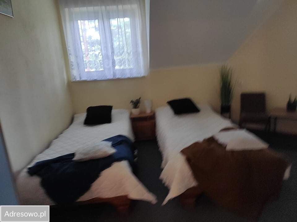 Lokal Majdan Sopocki Drugi. Zdjęcie 14