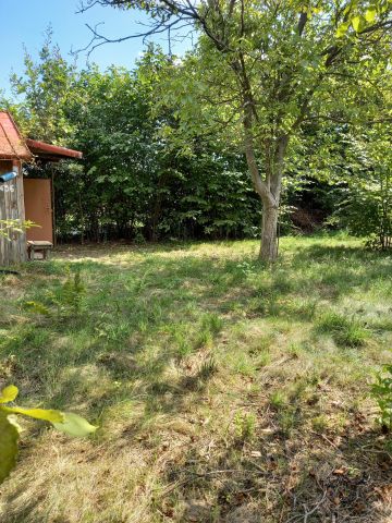 Działka rekreacyjna Góra Puławska, ul. Wspólna. Zdjęcie 1