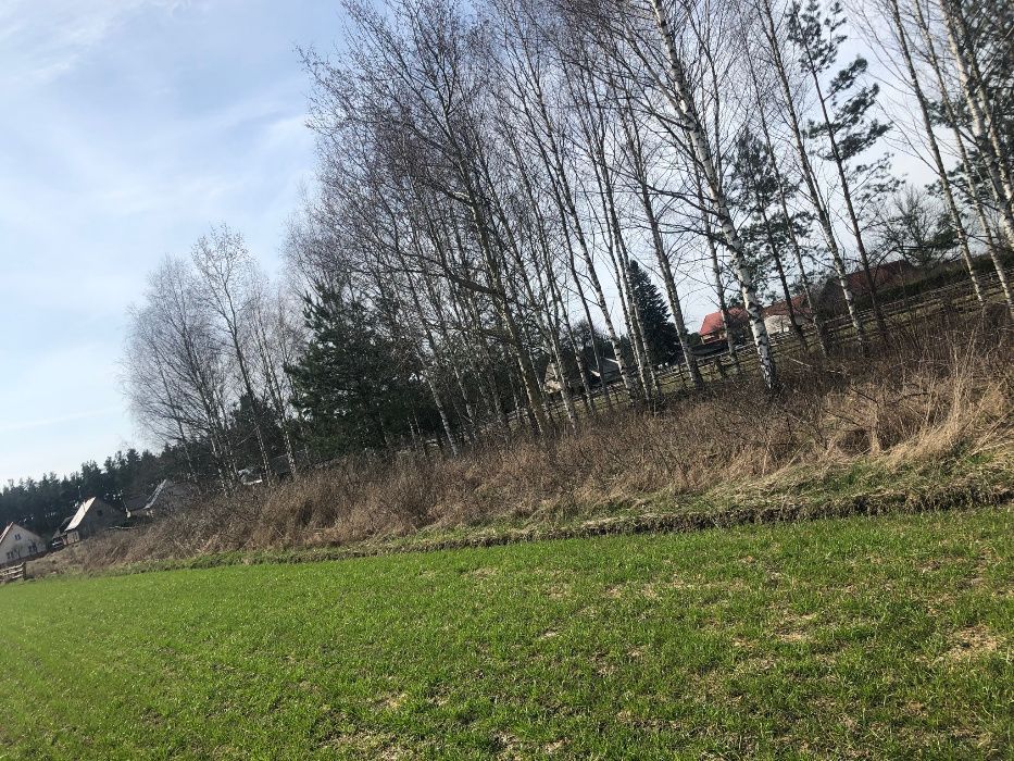 Działka budowlana Faryny. Zdjęcie 4