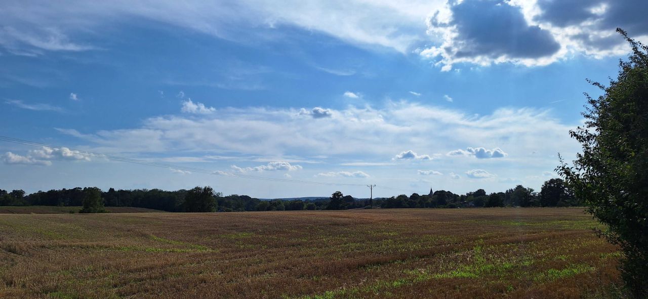 Działka rolno-budowlana Wysoka. Zdjęcie 6