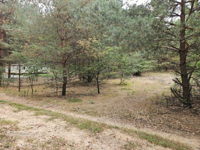 Działka rekreacyjna Sianno. Zdjęcie 16