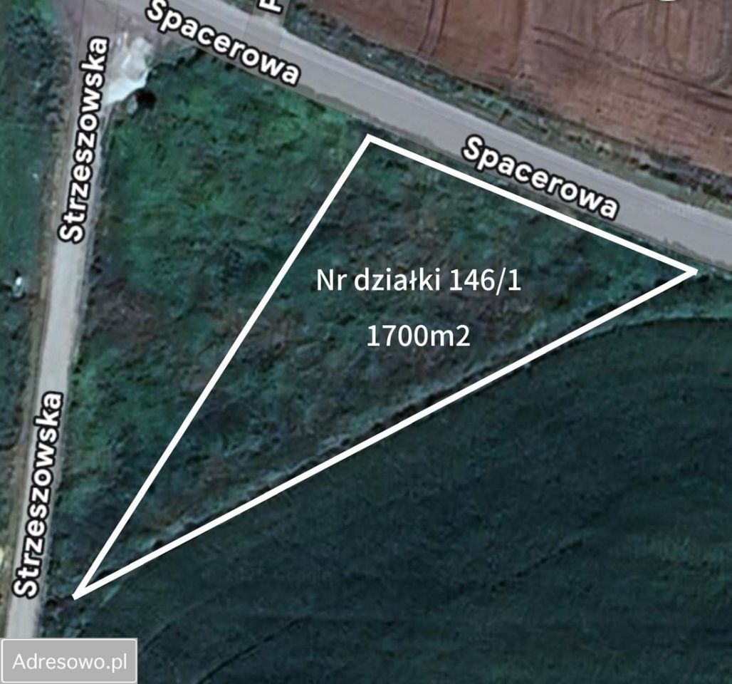 Działka budowlana Mienice. Zdjęcie 4