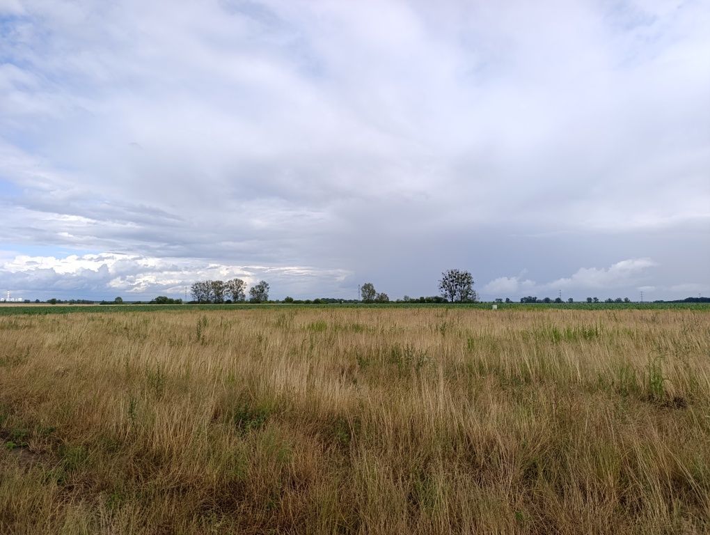 Działka budowlana Ciepielowice. Zdjęcie 3