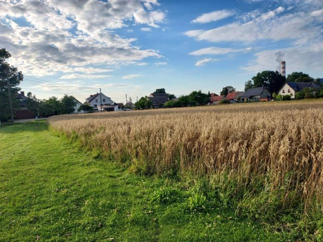 Działka budowlana Opole Borki, ul. Parkowa. Zdjęcie 1