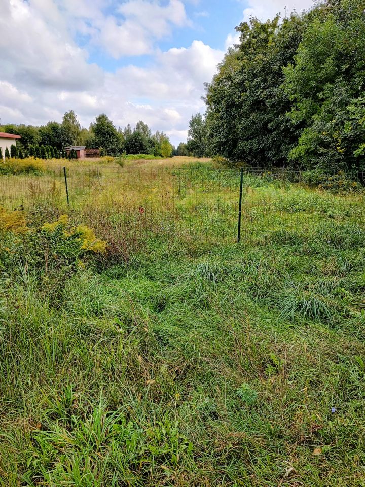 Działka budowlana Dąbrowa