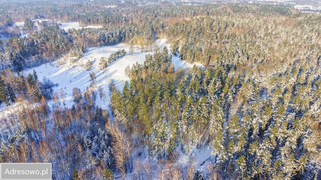 siedlisko, 5 pokoi Nowe Kawkowo. Zdjęcie 16