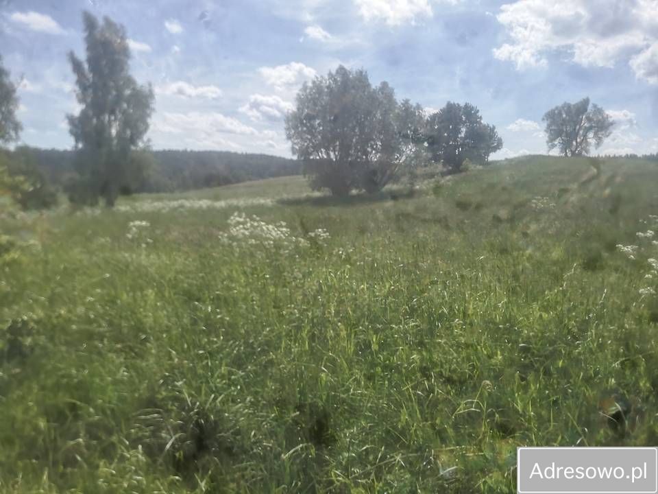 Działka rolna Piłaki Wielkie. Zdjęcie 7