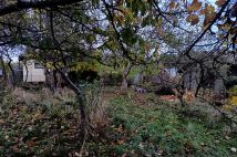 Działka rod Gdańsk Jasień, ul. mjr. Mieczysława Słabego. Zdjęcie 1