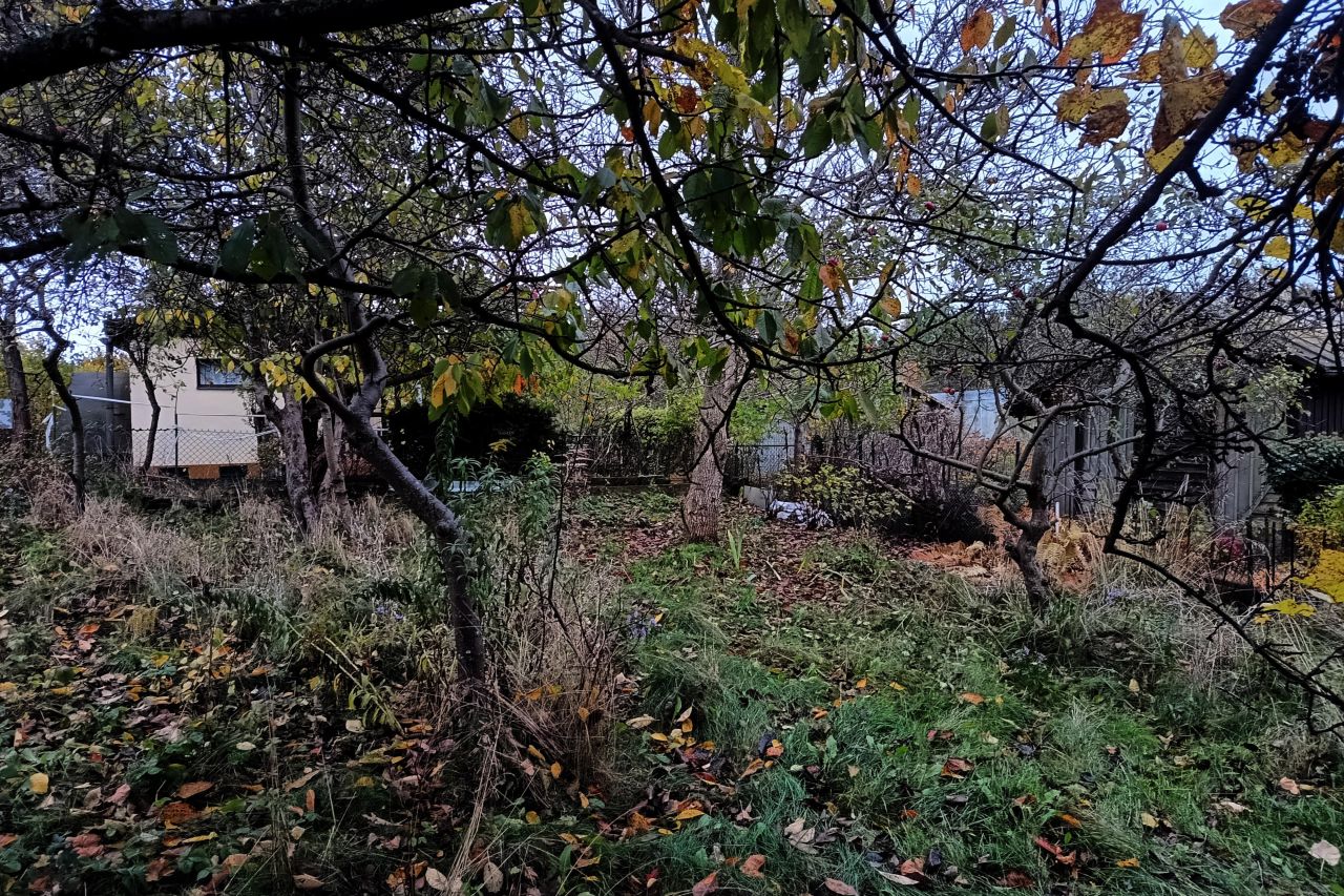 Działka rod Gdańsk Jasień, ul. mjr. Mieczysława Słabego. Zdjęcie 2