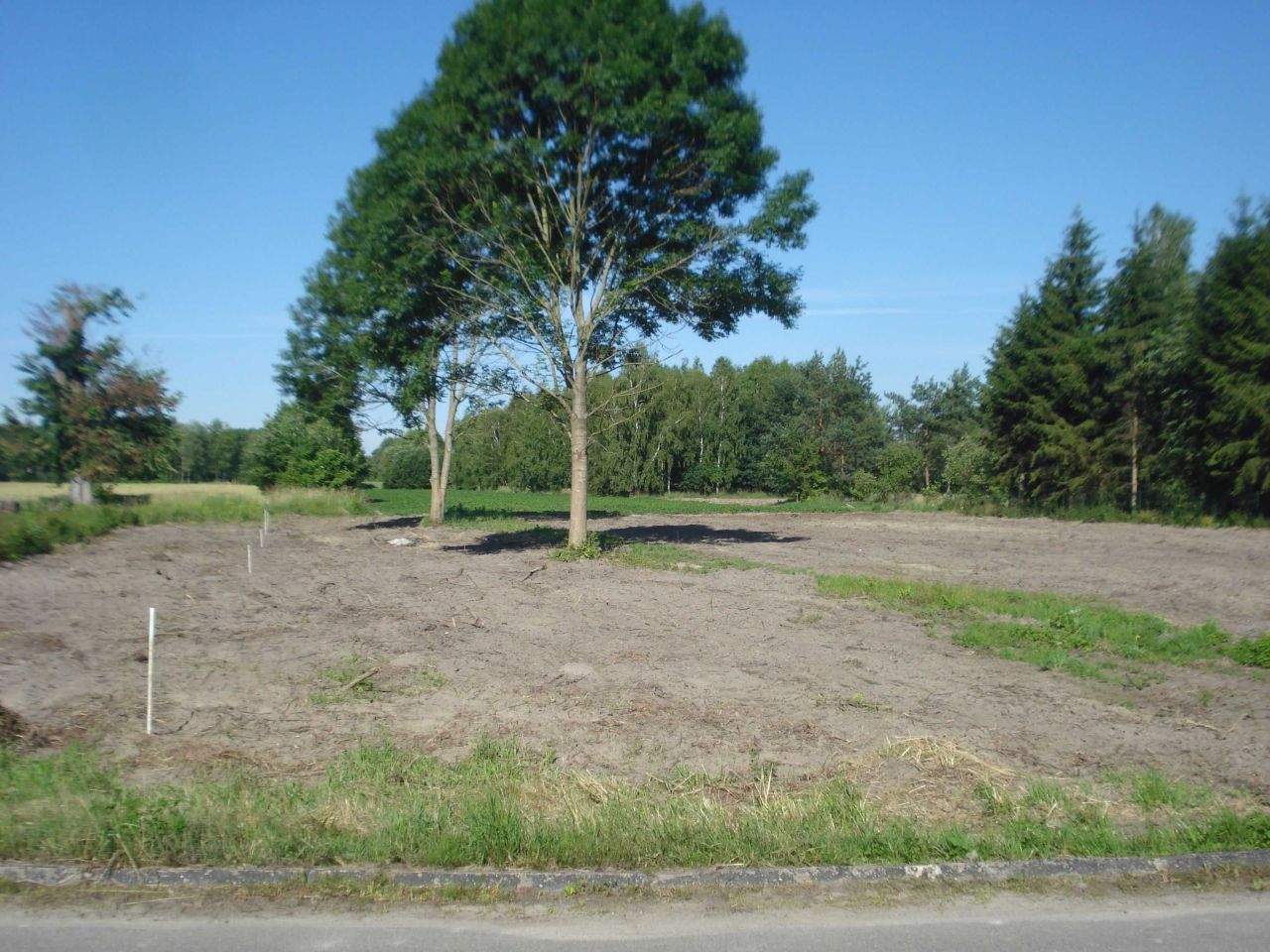 Działka siedliskowa Pachole. Zdjęcie 2