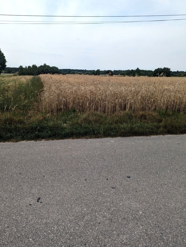 Działka rolno-budowlana Budziszewice, ul. Osiedlowa. Zdjęcie 2