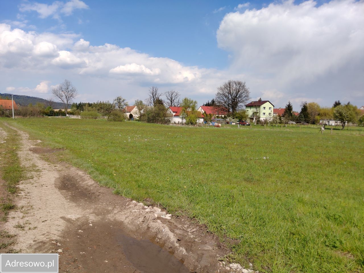 Działka budowlana Jaźwina. Zdjęcie 2