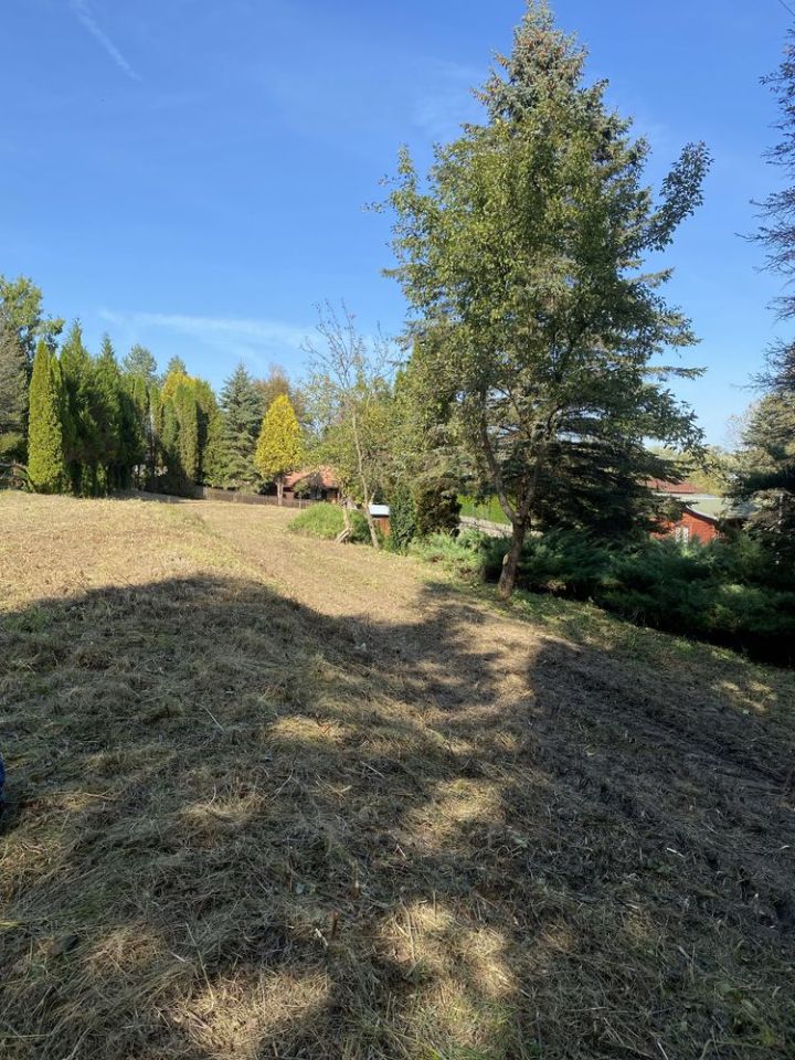 Działka budowlana Olszany. Zdjęcie 5