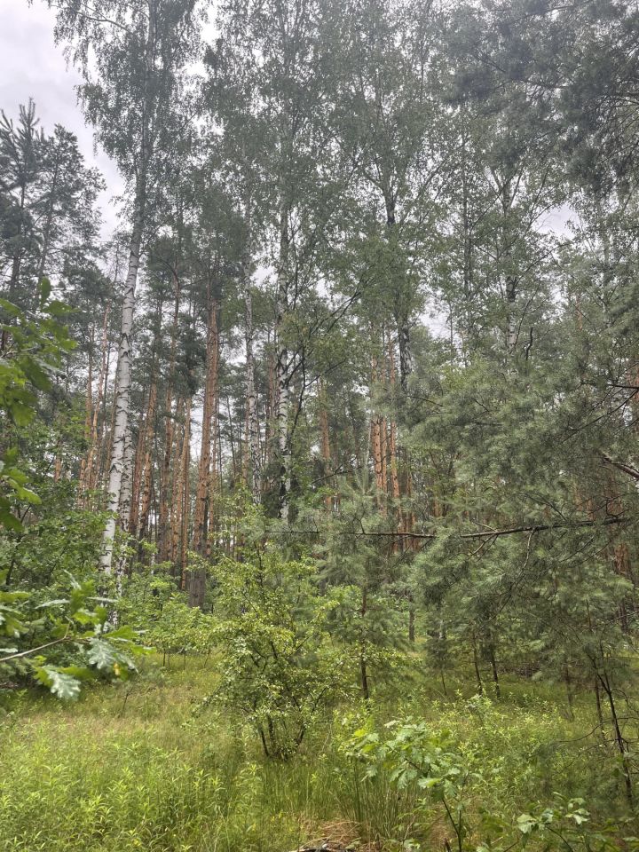 Działka budowlana Warszawa Wawer, ul. Polany. Zdjęcie 2