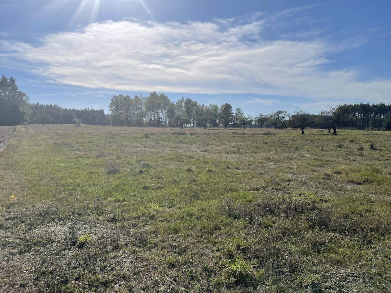 Działka rolna Jedlina. Zdjęcie 15