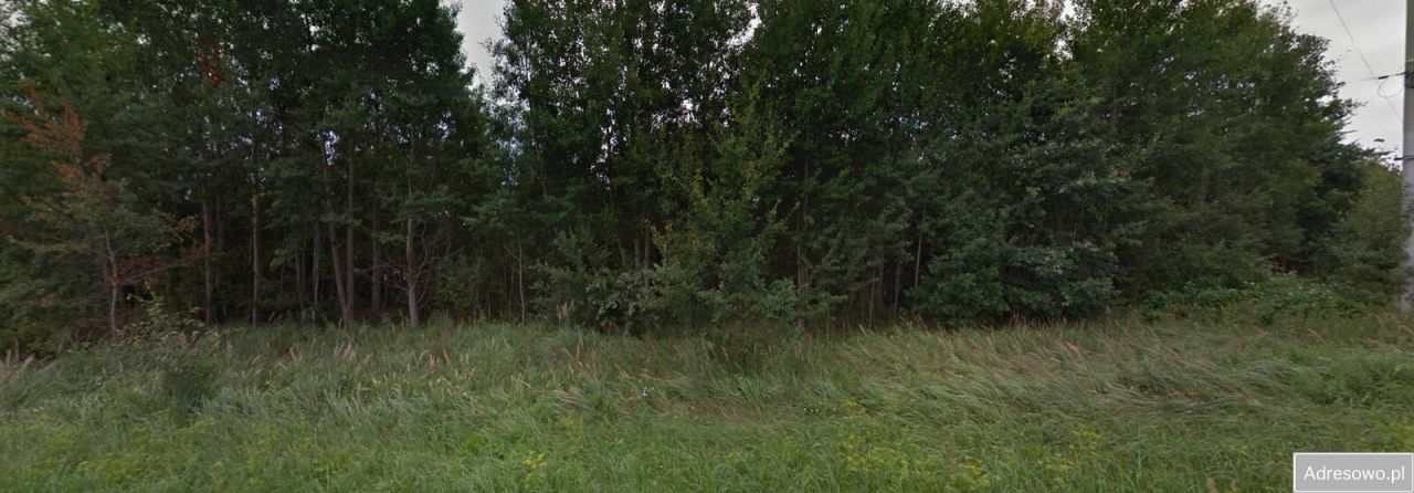 Działka rolna Płaczków. Zdjęcie 3