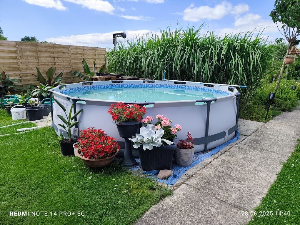 Działka rod Gniezno. Zdjęcie 8