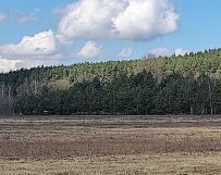 Działka budowlana Sąsieczno, ul. Adama Mickiewicza. Zdjęcie 4
