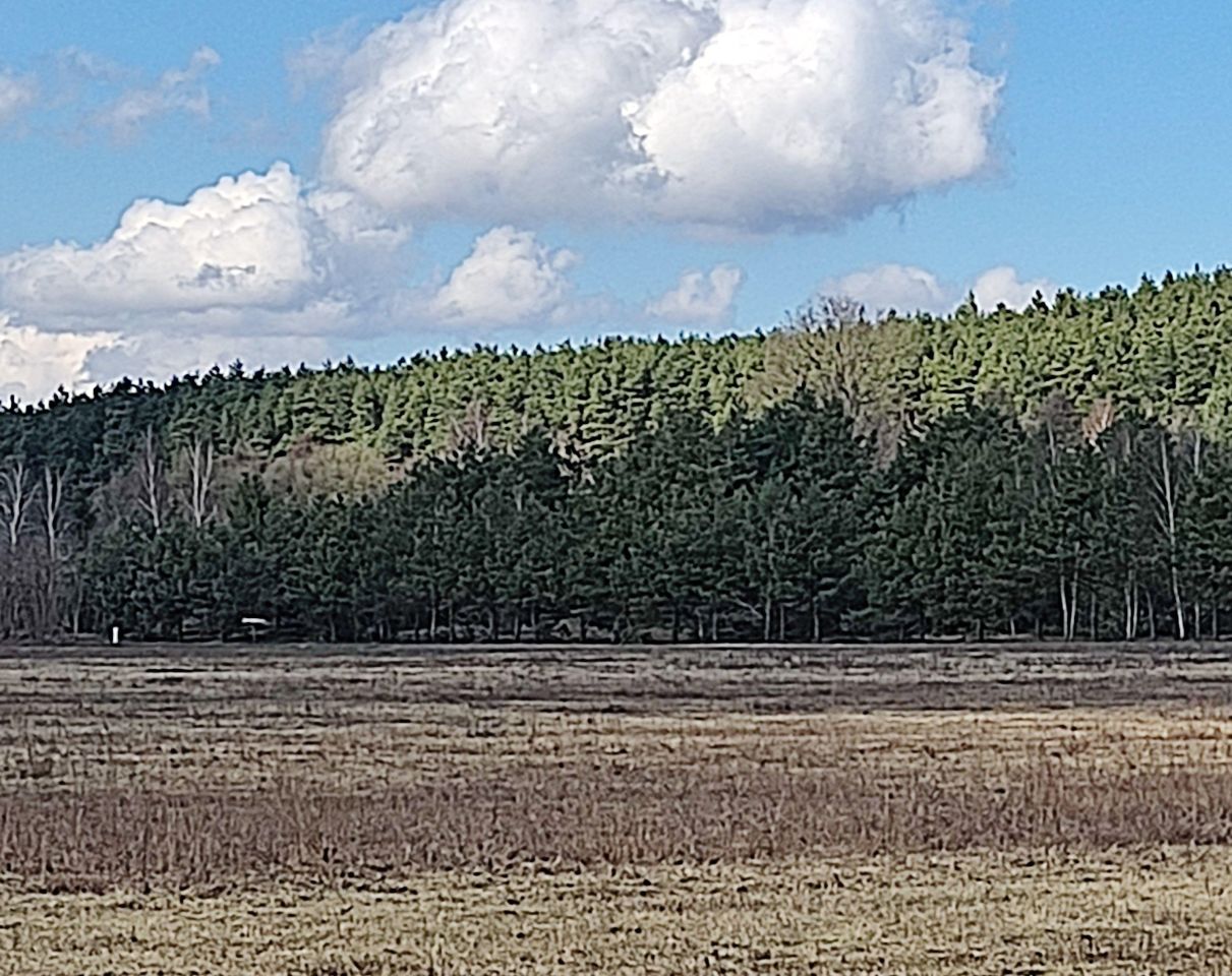 Działka budowlana Sąsieczno Miszek, ul. Adama Mickiewicza. Zdjęcie 6