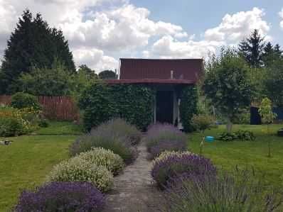 Działka rod Grudziądz, ul. Alojzego Ruchniewicza. Zdjęcie 1