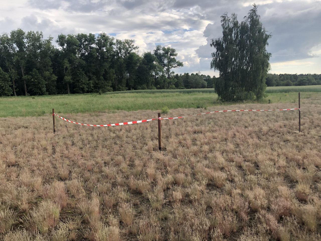 Działka budowlana Kolankowo, ul. Sielanka. Zdjęcie 10