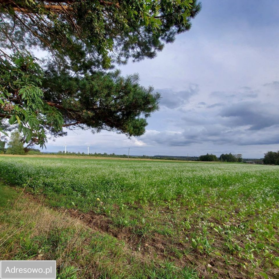 Działka rolno-budowlana Budy Dłutowskie. Zdjęcie 11