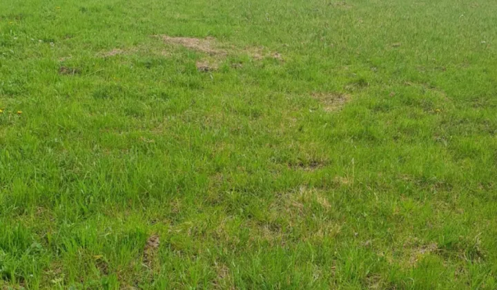 Działka inna Zielona Poćwiercie