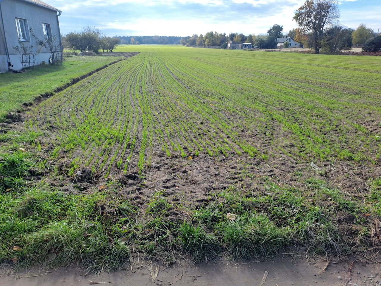 Działka budowlana Nowa Wola. Zdjęcie 3