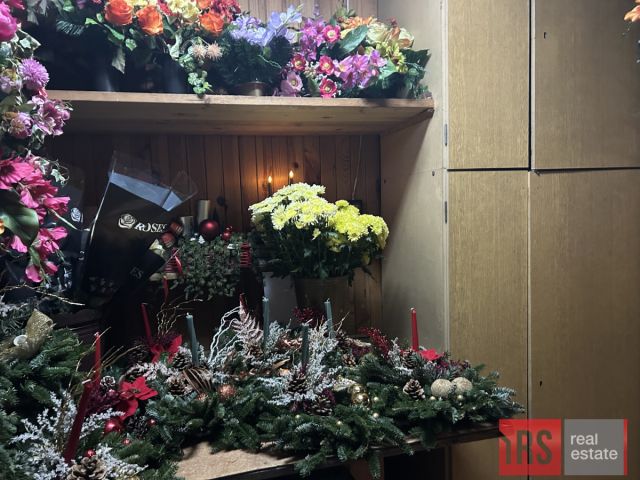 Lokal Warszawa Żoliborz, ul. Powązkowska. Zdjęcie 7