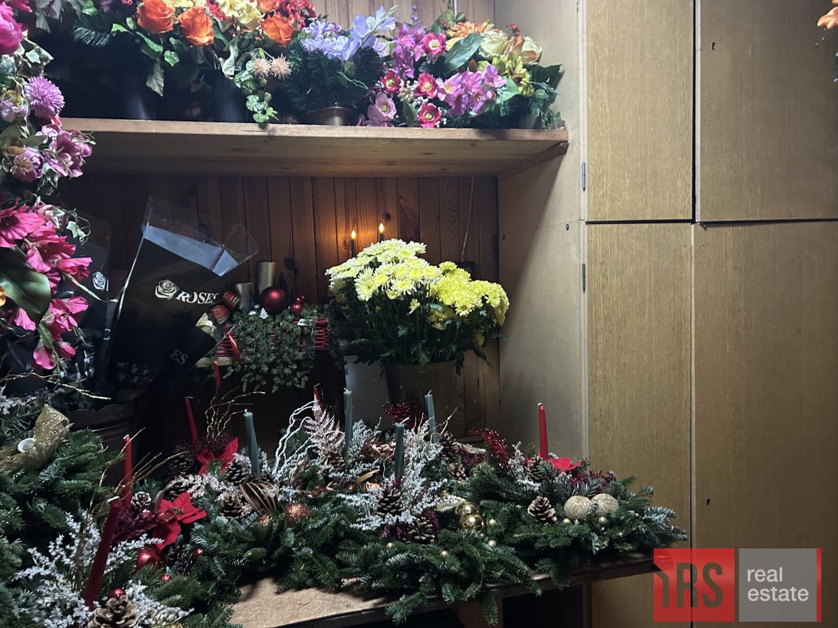 Lokal Warszawa Żoliborz, ul. Powązkowska. Zdjęcie 7