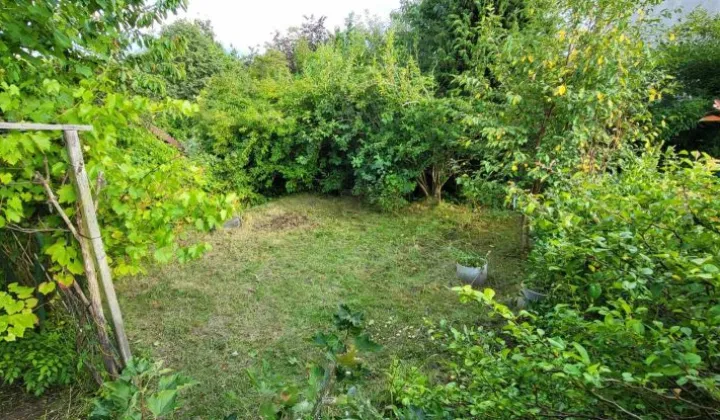 Działka rod Gdańsk Morena