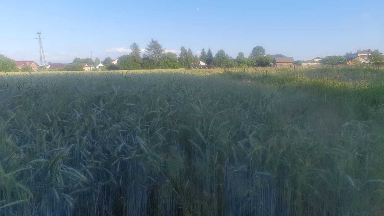 Działka budowlana Lubaczów, ul. Chabrowa. Zdjęcie 6