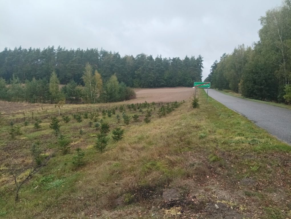 Działka budowlana Czarne Małe. Zdjęcie 3