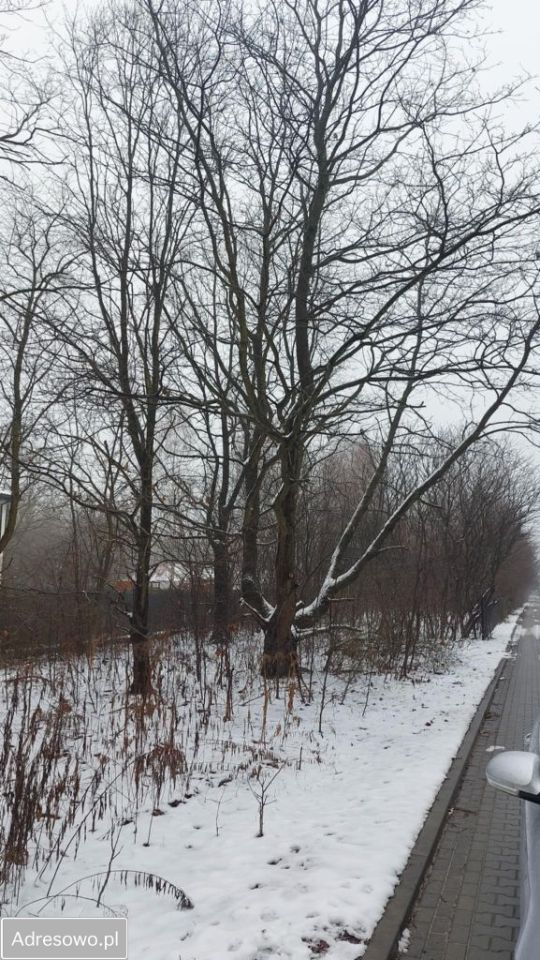 Działka budowlana Granica, ul. Gościnna. Zdjęcie 2