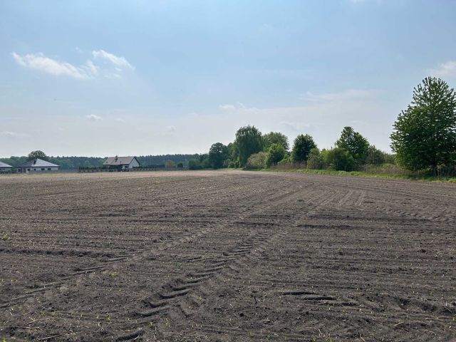 Działka budowlana Wróblów. Zdjęcie 1