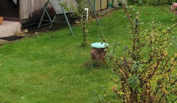 Działka rod Gdynia Obłuże, ul. płk. Stanisława Dąbka