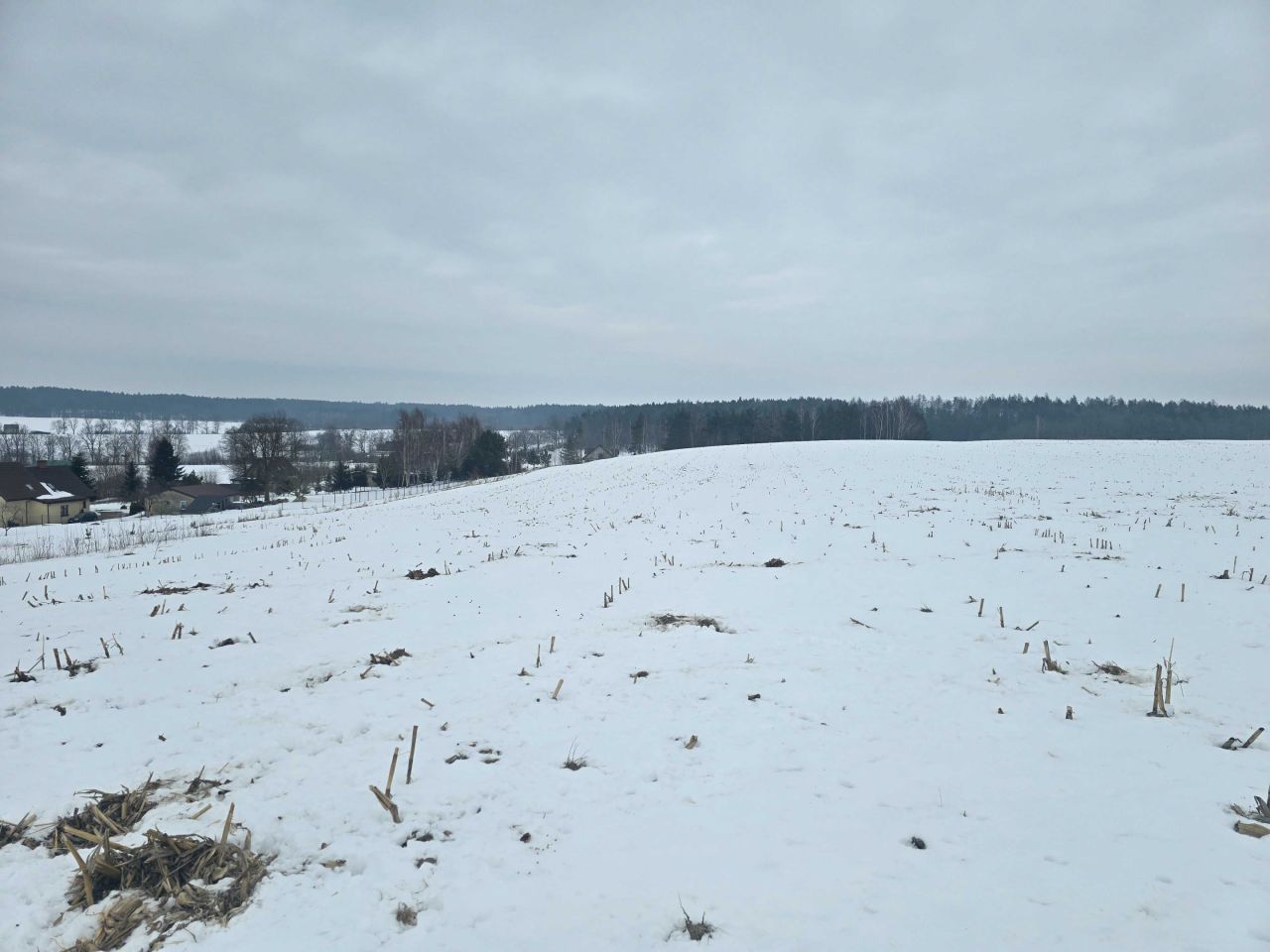 Działka siedliskowa Chocielewko. Zdjęcie 5