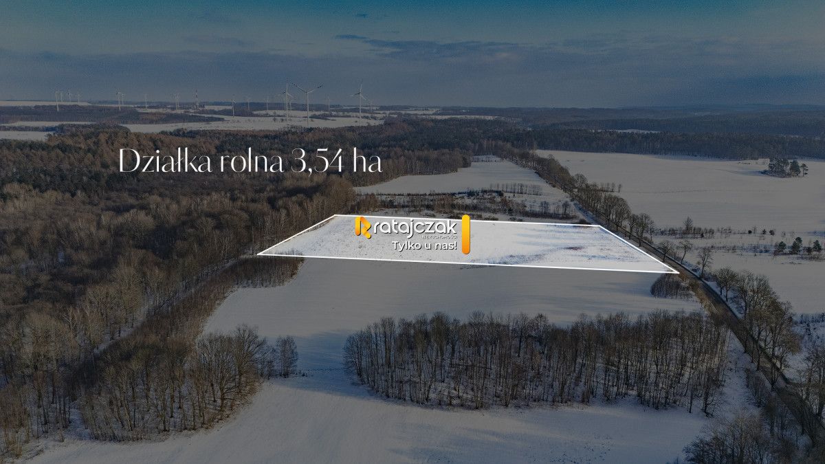 Działka rolna Mierzyno. Zdjęcie 2