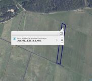 Działka rolna Secemin. Zdjęcie 1