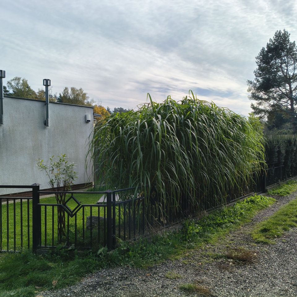 Działka rod Poznań Warszawskie, ul. Wrzesińska. Zdjęcie 8