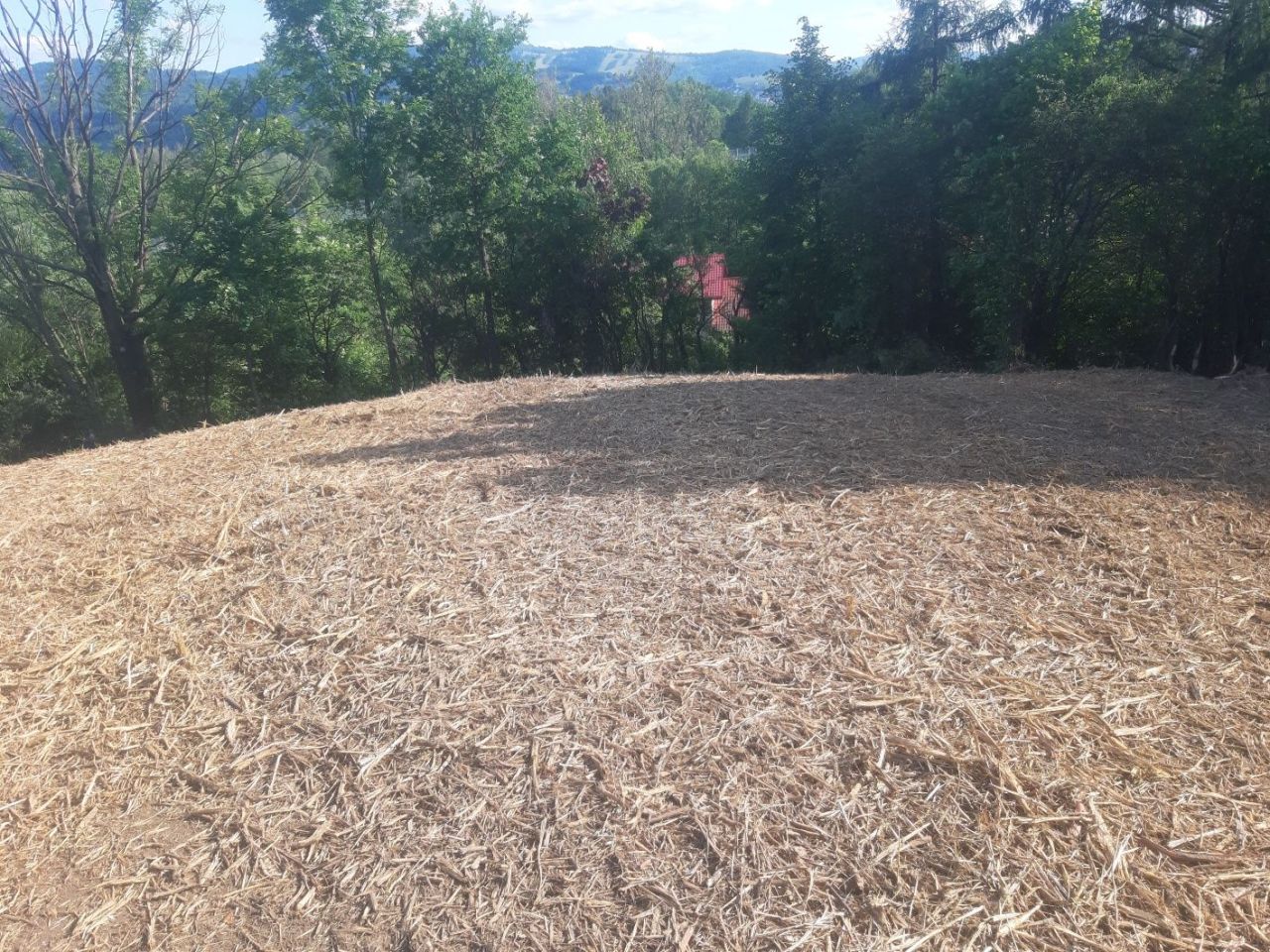 Działka budowlana Przybędza, ul. Rzeczna. Zdjęcie 6