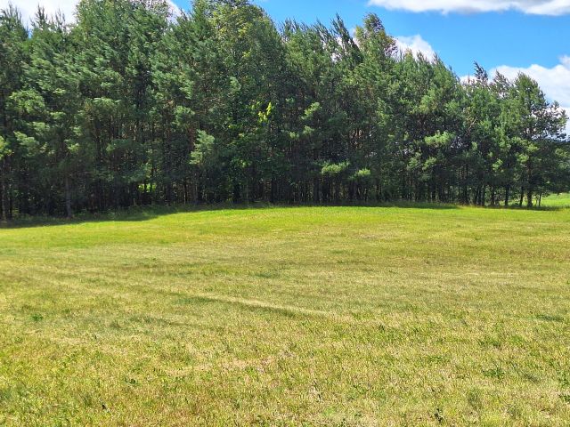 Działka rolna Machary. Zdjęcie 1