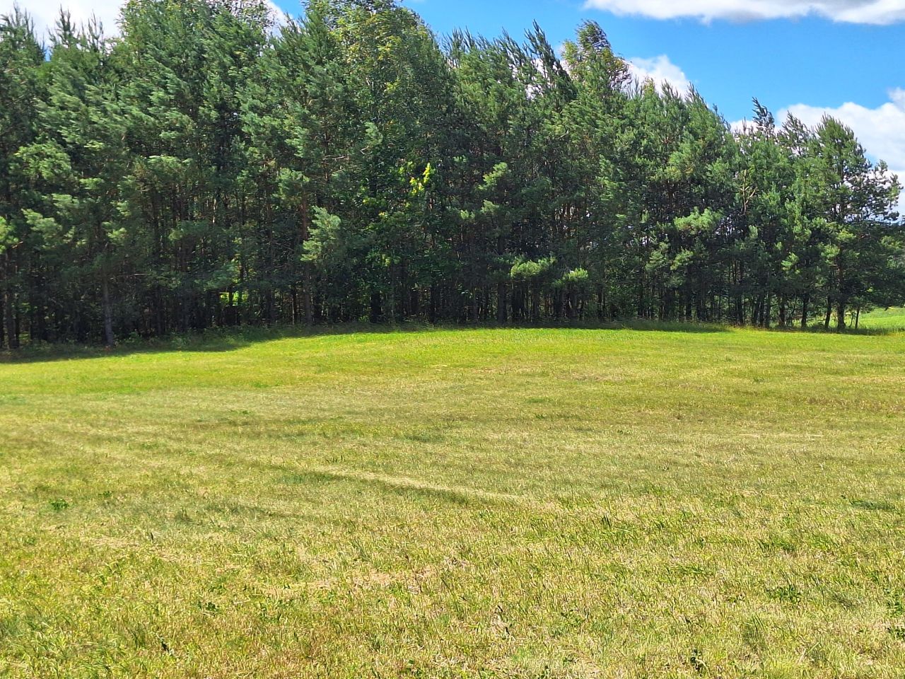 Działka rolna Machary