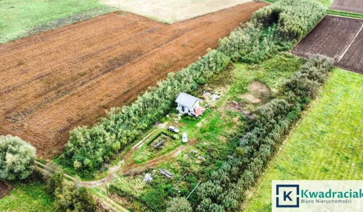 siedlisko, 5 pokoi Moderówka