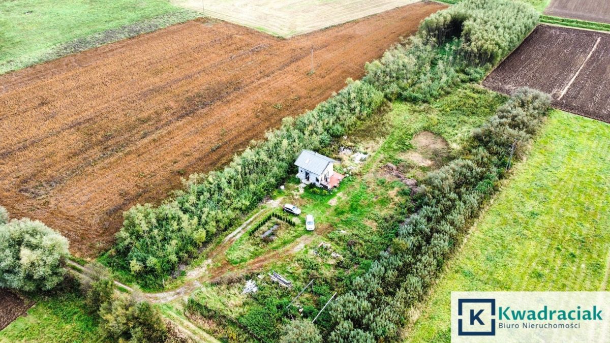 siedlisko, 5 pokoi Moderówka