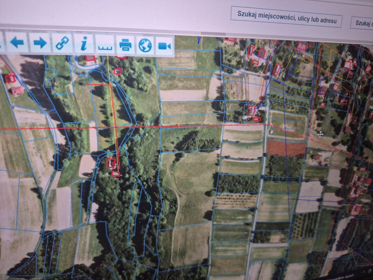 Działka rolno-budowlana Gogołów. Zdjęcie 2