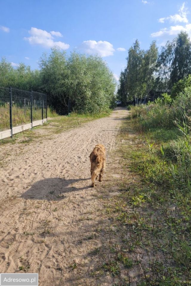 dom wolnostojący, 3 pokoje Żabiniec. Zdjęcie 2