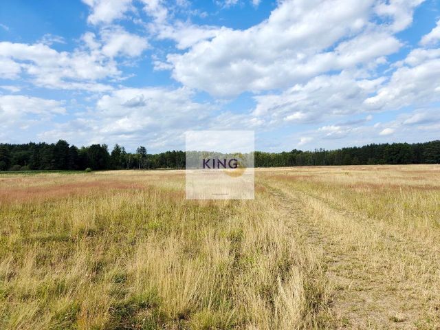 Działka rolna Stolec. Zdjęcie 3