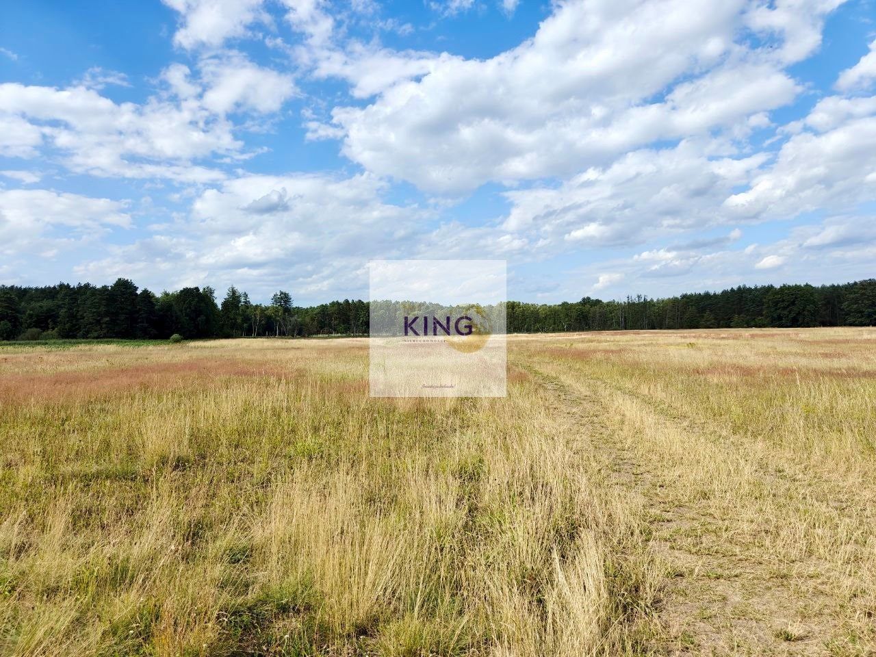 Działka rolna Stolec. Zdjęcie 3